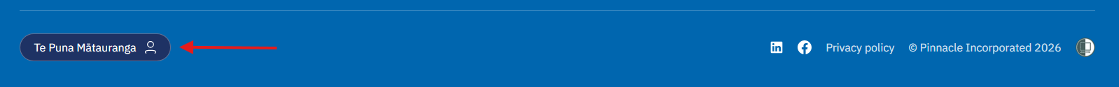 website footer